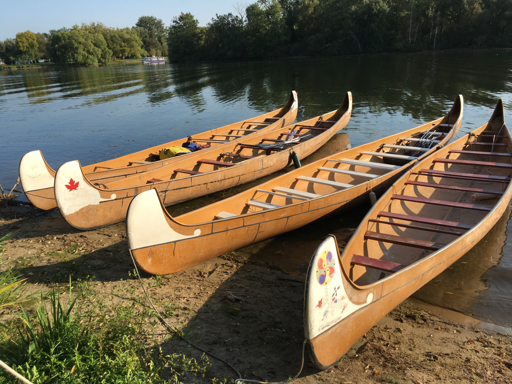 to keep healthy during COVID 19 it is important to spend time outdoors and exercise.  canoeing could help you boost your immune system.