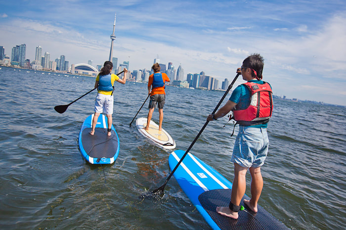 paddle from the islands across the harbour to toronto on sup board as a social activity in a group